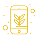 Mobile First